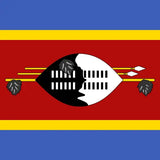 Eswatini unlimited daily eSIM